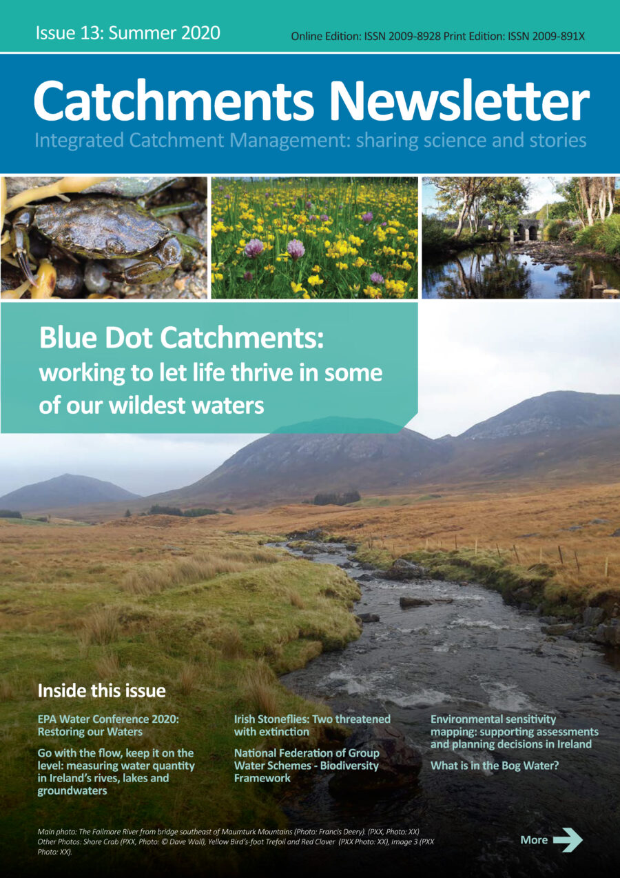 Catchments Newsletter - sharing science and stories. Summer 2020.