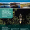 Catchments Newsletter - sharing science and stories. Summer 2024.