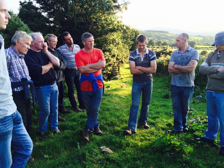 Ballyglisheen Farm Walk (Photo - Helena Fitzgerald)