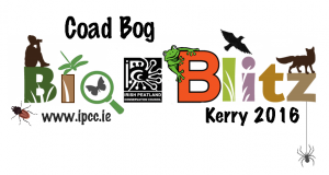 Coad-Bog-Bioblitz-Logo