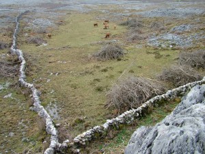 A photograph showing the Burren landscape 