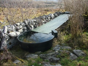 Burren Drinking Trough showing rain collection