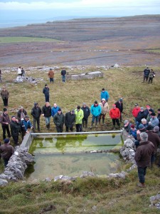 Burren Life Farm Walk