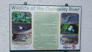 Biodiversity Signage at Fethard - communities working to create awareness of wildlife along their local river.