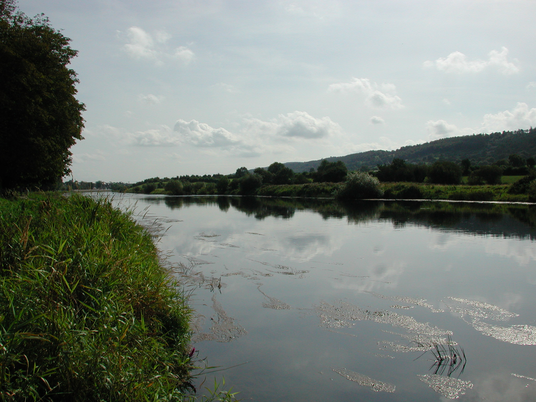 The Suir as it flows towards its estuary Photo: John Lucey