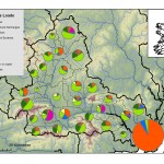 Sources of phosphorus in the Suir subcatchments