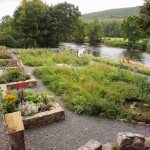 Kilsheelan Tidy Town's Committee's 'Garden of Renewal'