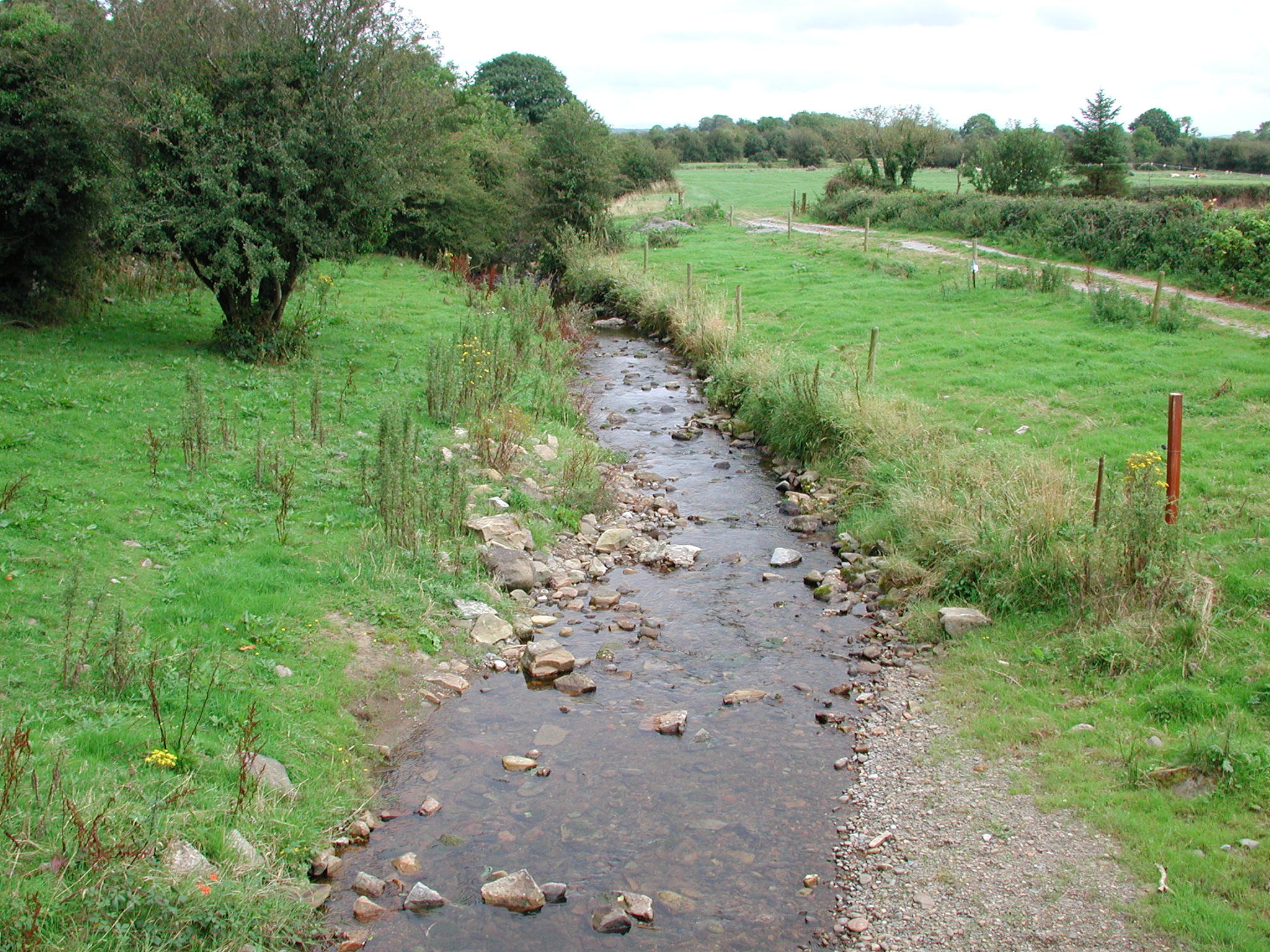 The Suir Headwaters Photo: John Lucey