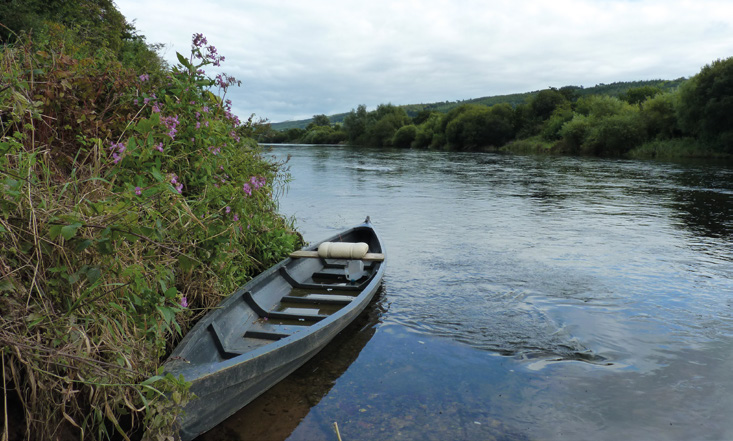 The Suir near Carrick-On-Suir before it flows out into the estuary Photo: Emma Quinlan
