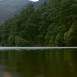 Eco Eye - forest and lake