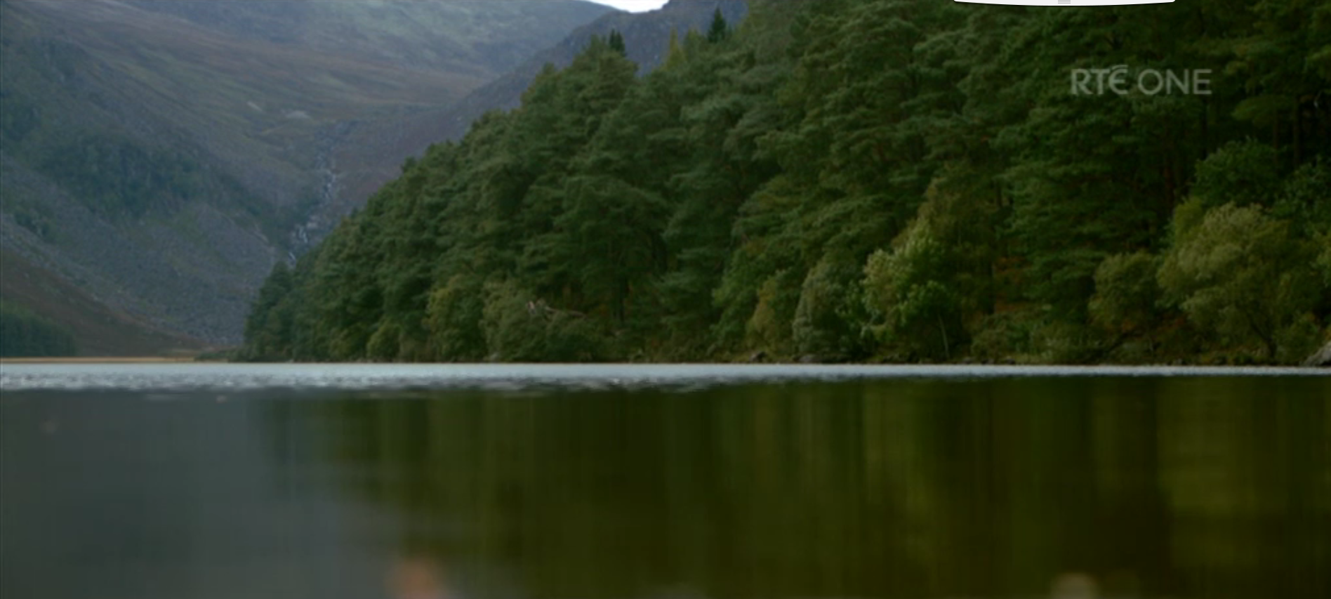 Eco Eye - forest and lake