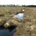 Wetlands and Natural Flood Measures