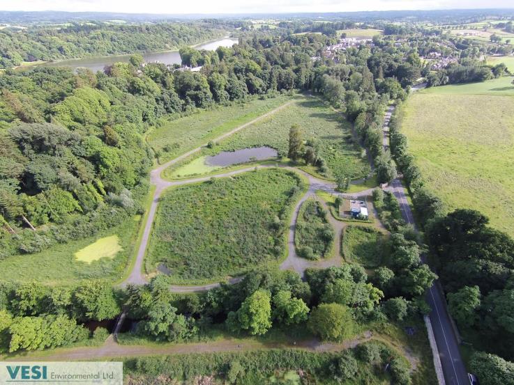 Integrated Constructed Wetland at Castle Leslie, Monaghan