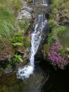INFLOWING STREAM AT LOUGH DOO, CO. MAYO. PART OF MWEELREA SHEEFFRY ERRIFF COMPLEX SAC-PHOTO WAYNE TRODD