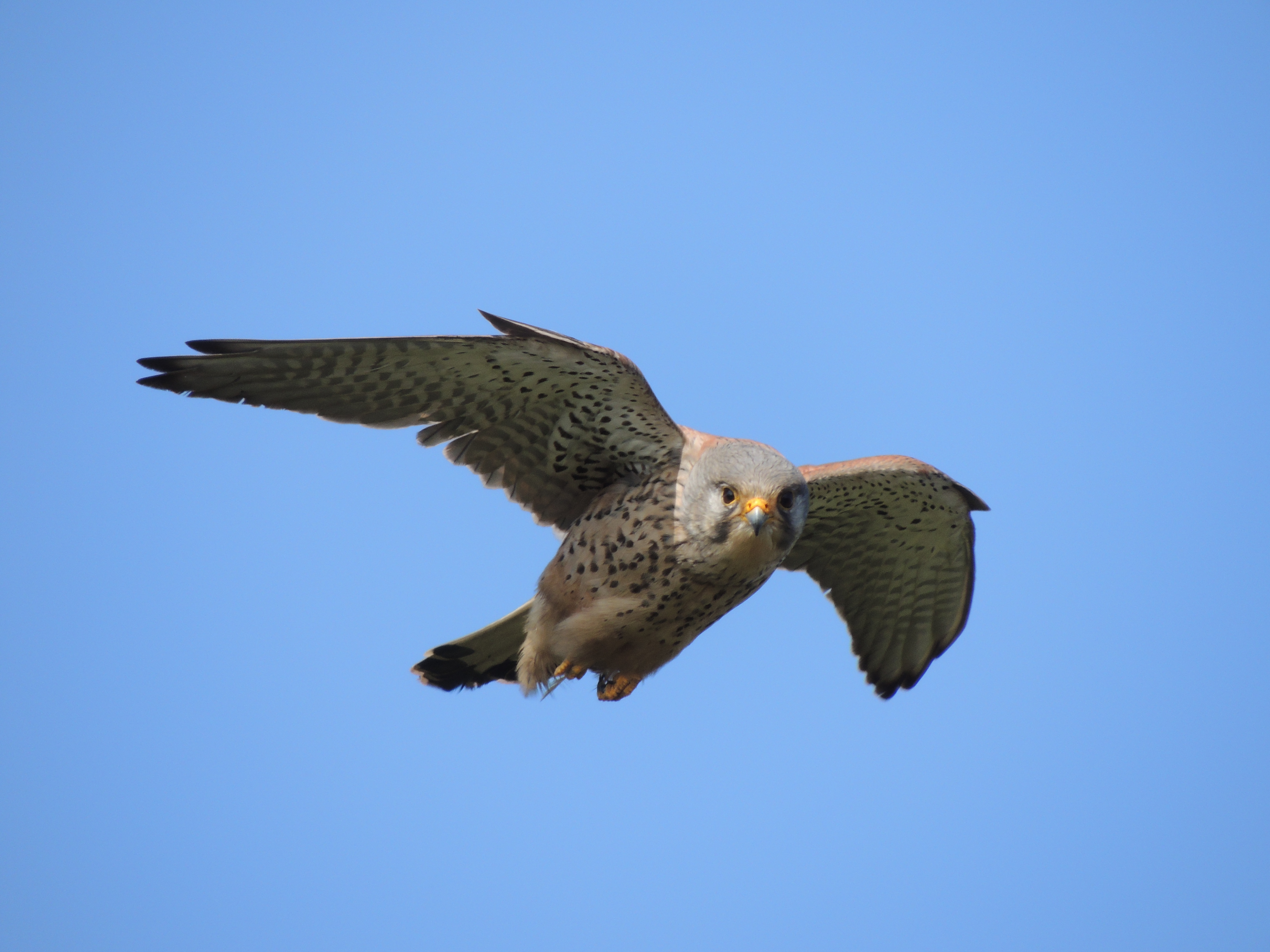 Managing Biodiversity and Water Quality