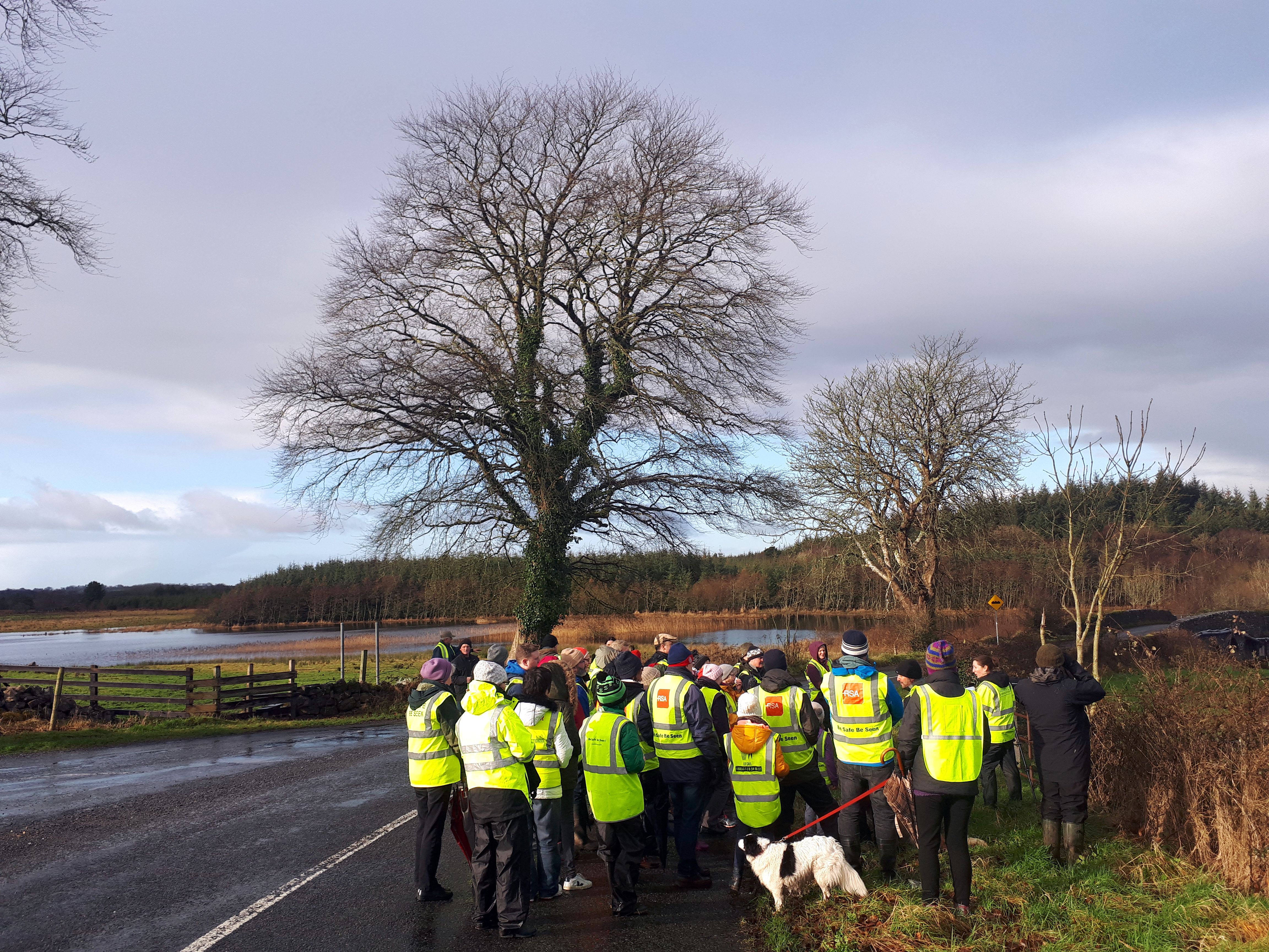 World Wetlands Day - Castlecoote, County Roscommon World Wetlands Day