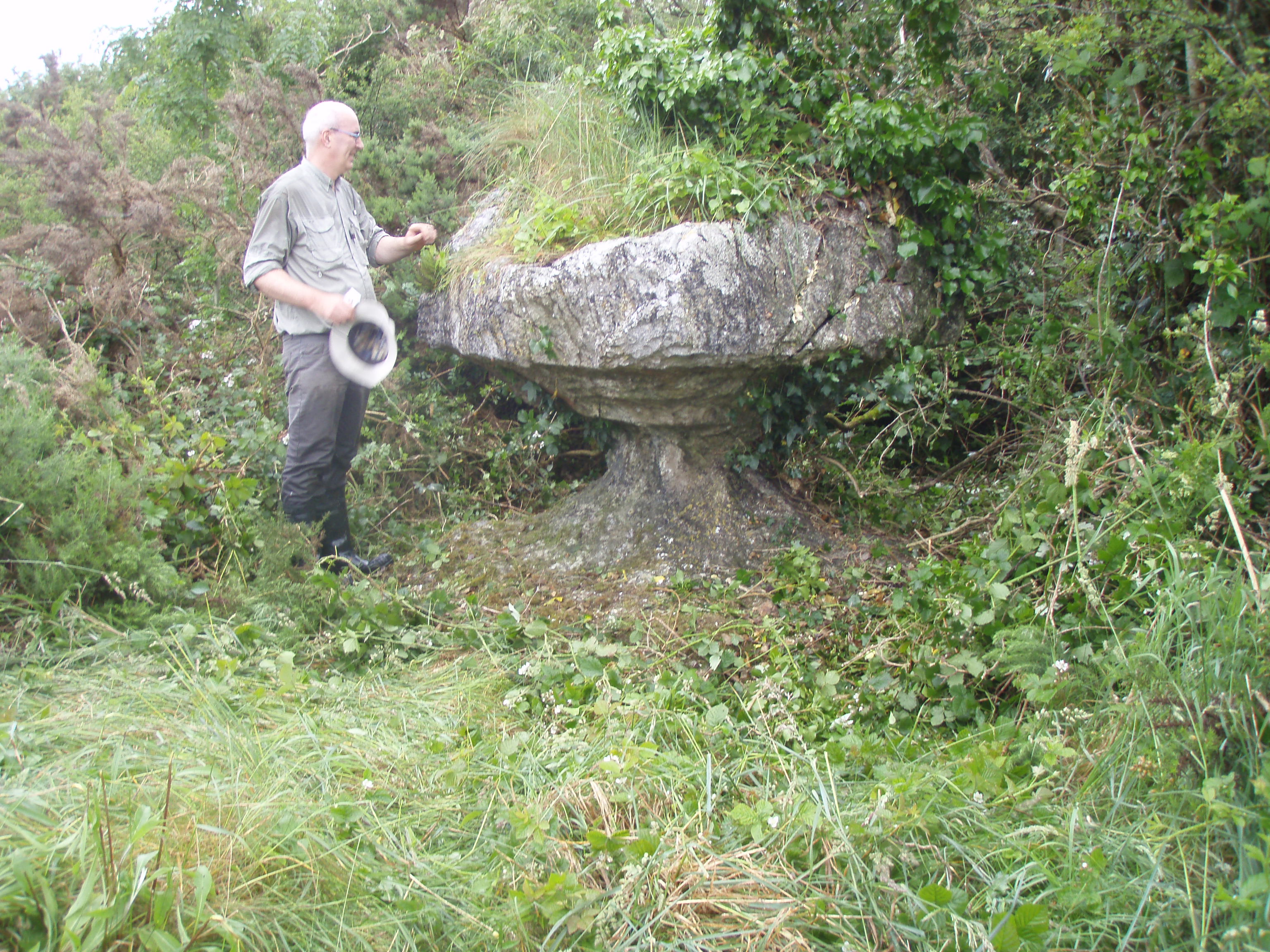 Mushroom stone