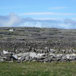 Farms on islands are made up of a number of small fields surrounded by stone walls which give shelter to livestock and protect the soil.