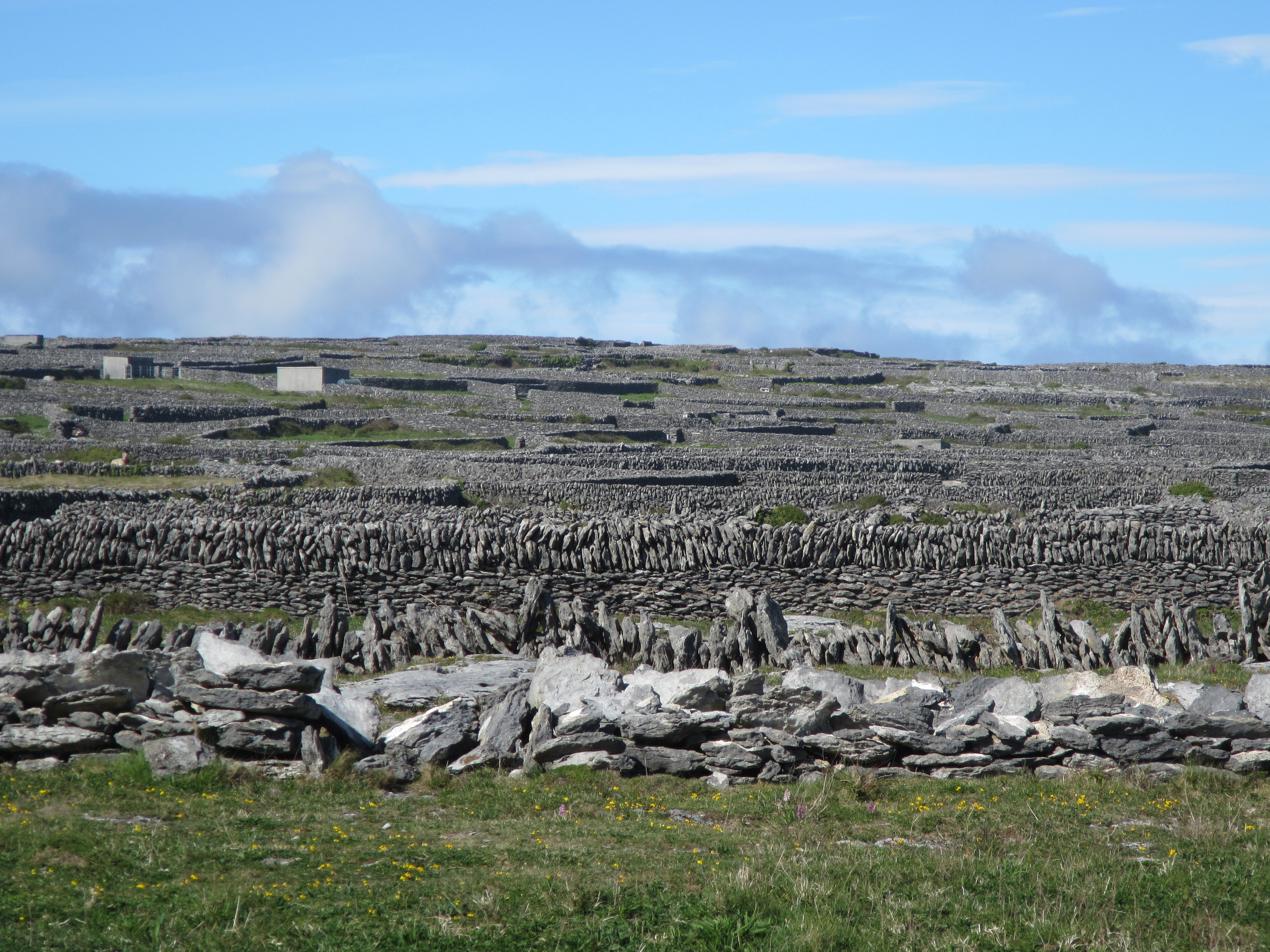 Farms on islands are made up of a number of small fields surrounded by stone walls which give shelter to livestock and protect the soil.