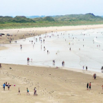 FIGURE 1: BATHERS ON ENNISCRONE BEACH