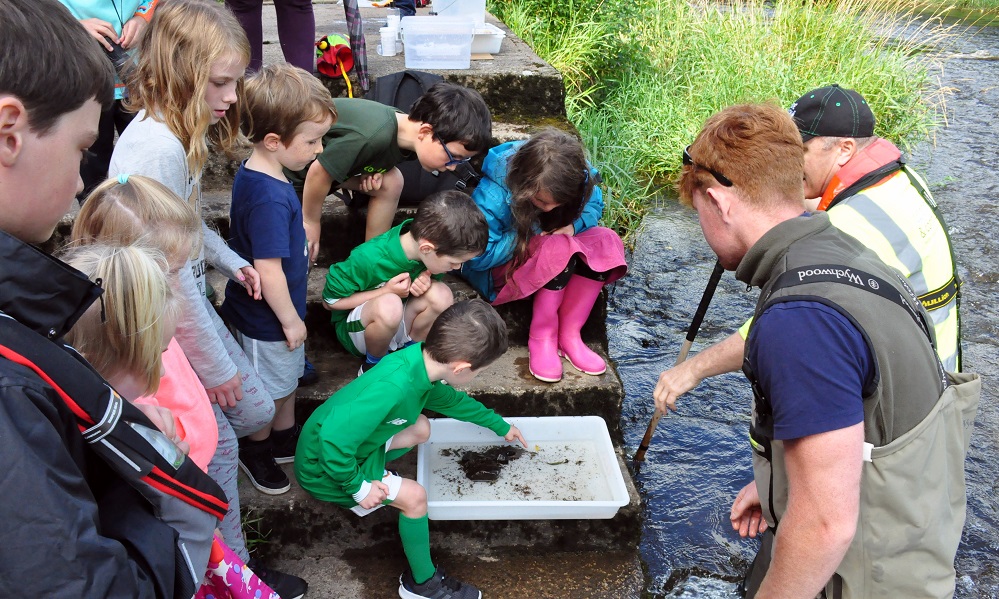 Water events for Heritage Week (13-21 August) and Water Heritage Day, Sunday 21 August - Catchments.ie - Catchments.ie