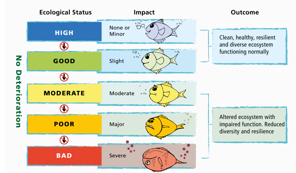 This image shows what WFD ecological status means.

High or Good status indicates a Clean, healthy, resilient and diverse ecosystem functioning normally.

Moderate, poor or Bad Status indicates an altered ecosystem with
impaired function. Reduced
diversity and resilience.
