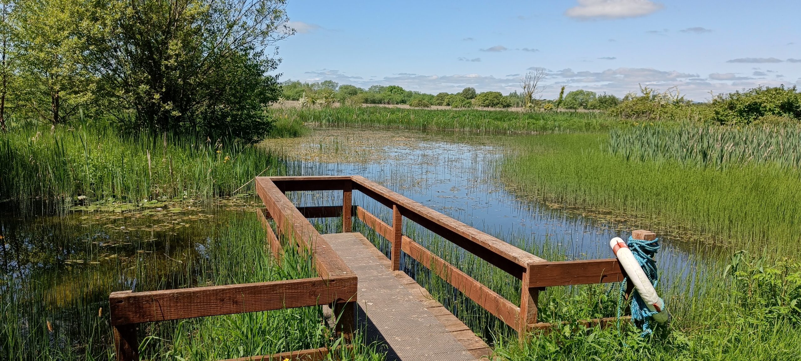 A wooden boardwalk extends over a marshy area with tall green grasses and reeds. The boardwalk has railings on both sides and leads to a small platform over the water. The surrounding area is lush with vegetation, and trees are visible in the background under a clear blue sky with scattered clouds.