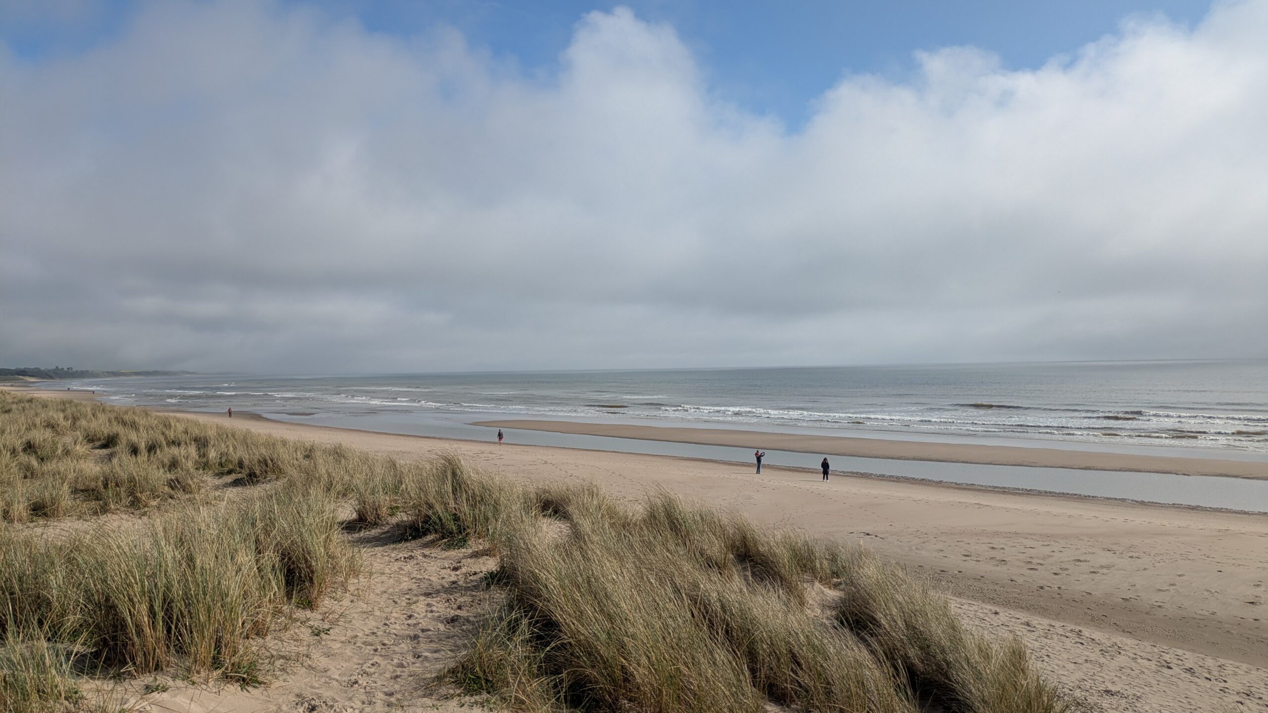 A serene beach scene with tall grasses in the foreground, a sandy shore, and gentle waves lapping against the shore. The sky is partly cloudy with shades of blue and gray. Three people are visible walking along the beach in the distance.