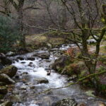 Scenic view of a waterfall flowing over moss-covered rocks in a forest with bare trees, capturing a peaceful natural landscape.