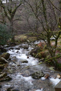 Scenic view of a waterfall flowing over moss-covered rocks in a forest with bare trees, capturing a peaceful natural landscape.