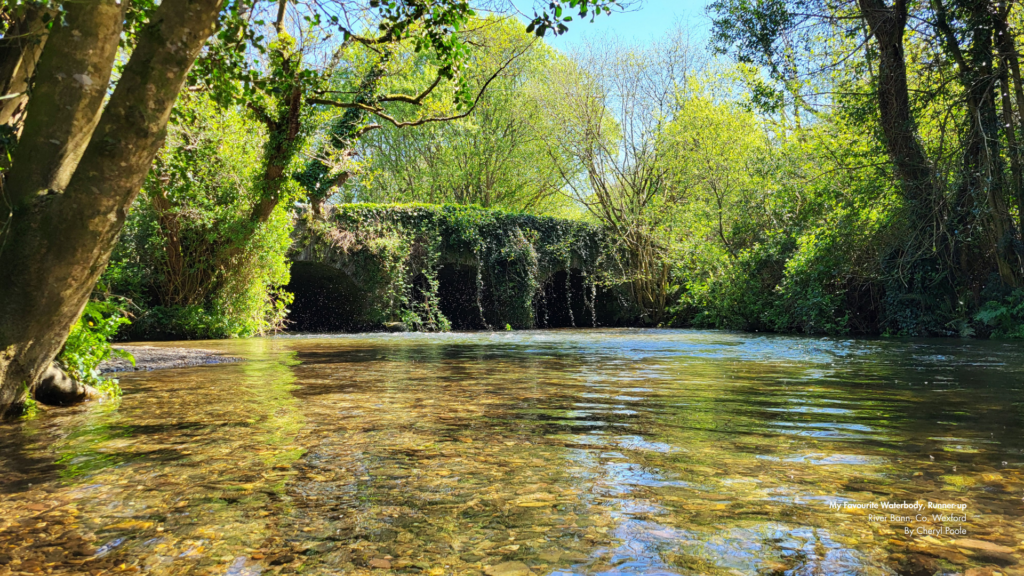 A peaceful river scene featuring the River Bann in County Wexford, Ireland. Clear, shallow water flows over pebbles, surrounded by lush green trees and vegetation. An ivy-covered stone bridge with three arches spans the river in the background, with sunlight filtering through the trees and casting dappled light on the water. Text in the image reads: 'My Favourite Waterbody, Runner-up River Bann - Co. Wexford By Cheryl Poole.'