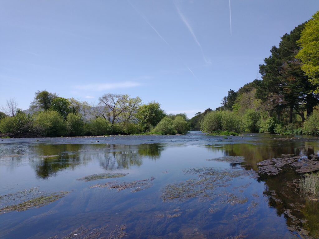 One of the macroinvertebrate survey sites used in this project, on the River Flesk in County Kerry.