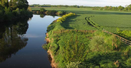 A calm river flowing through green fields and trees, bordered by a wooden fence.