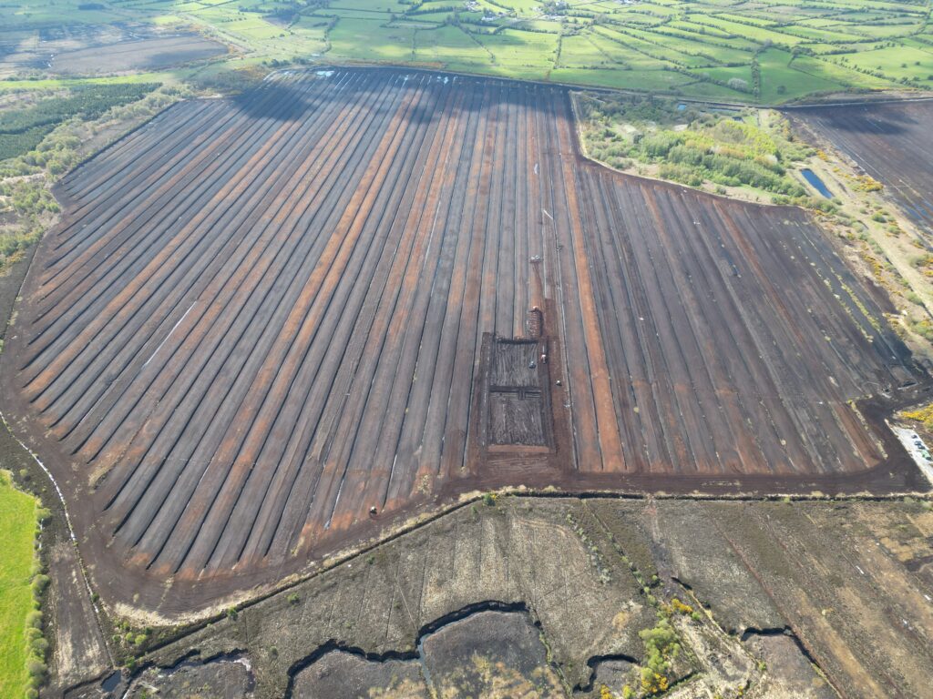Ballaghurt Bog (Pre-Restoration):
Aerial view of Ballaghurt Bog showing long, parallel strips of bare peatland, with minimal vegetation and visible drainage patterns. The landscape appears dry and structured for industrial use.