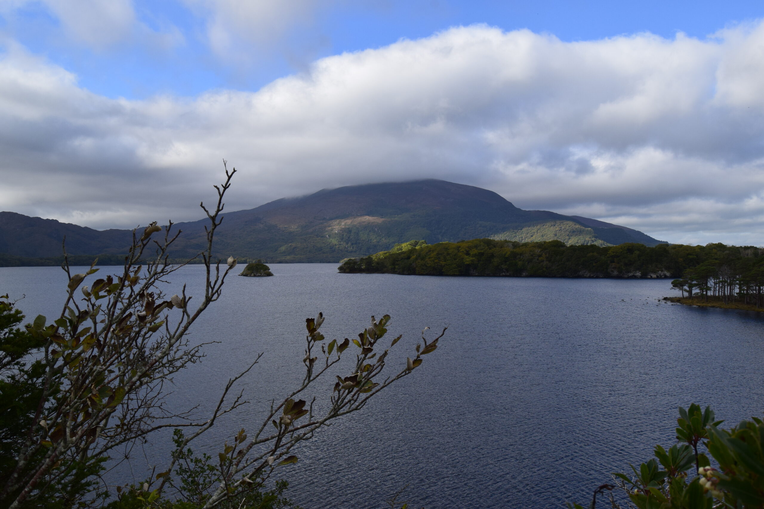 Muckross Lake in County Kerry, Ireland, with calm water surrounded by lush green forest and a mountain in the background under a partly cloudy sky. Branches and foliage frame the foreground.