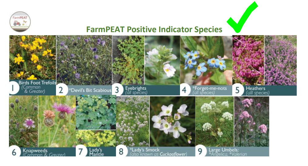 FarmPEAT guide to the positive indicator species