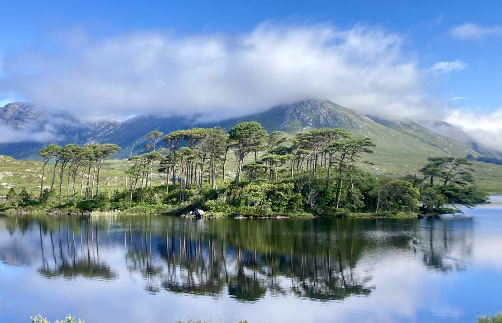 Scenic view of Pine Island in Connemara, Ireland. The small island is covered with tall pine trees and surrounded by a still lake that reflects the trees and the blue sky. Behind the island are green hills and mountains partially shrouded in low-hanging clouds.