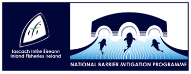 Logo of Inland Fisheries Ireland and the National Barrier Mitigation Programme. The left side shows the Inland Fisheries Ireland emblem with stylized fish and text in Irish and English. The right side features an illustration of three fish swimming upstream through stylized arches representing barriers, with flowing blue water lines beneath.