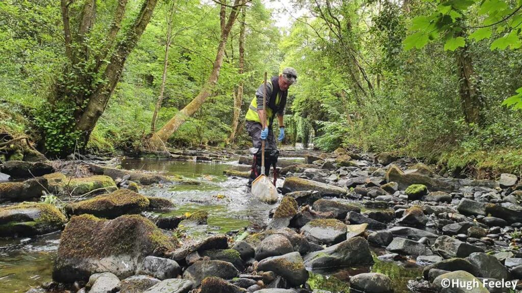 Person collecting a macroinvertebrate sample in a shallow rocky stream surrounded by dense green trees. The individual is wearing gloves and using a kick sampling net in the River Owenass, Co. Laois, Ireland.