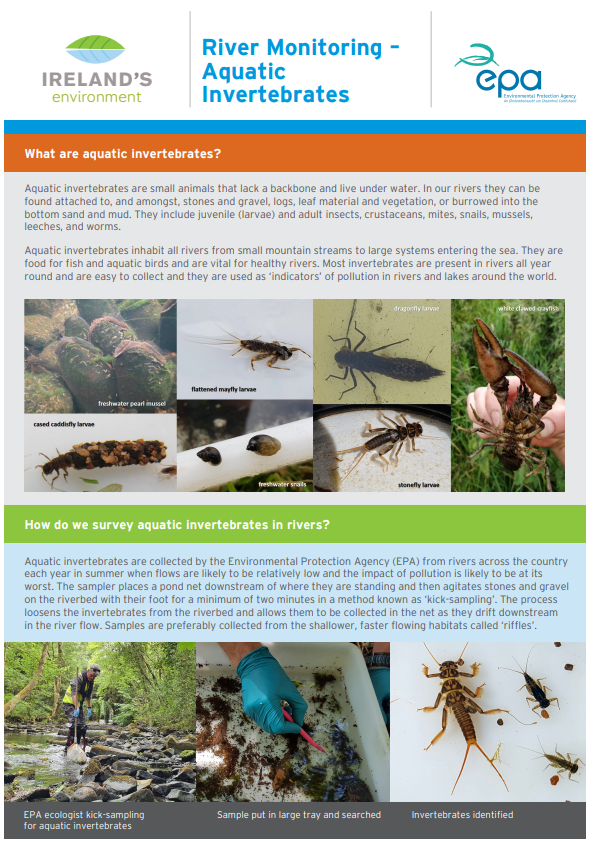 EPA fact sheet titled River Monitoring – Aquatic Invertebrates. Includes text explaining what aquatic invertebrates are and how they are surveyed in rivers. Shows photos of various invertebrates such as mayfly larvae, caddisfly cases, and freshwater snails, plus images of field sampling and identification.