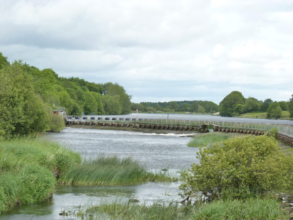 Meelick Weir on the River Shannon, a long wooden structure crossing the river with flowing water and green vegetation on both banks. Photo credit: E. Quinlan.