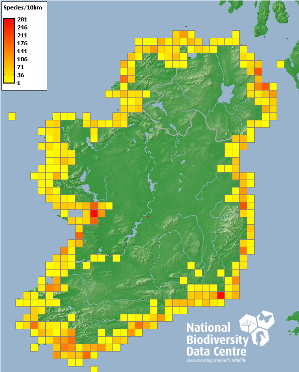 Map showing the Explore Your Shore dataset update with new coastal biodiversity records across Ireland.