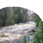A fast‑flowing, swollen river moves through a forested area with dense trees and vegetation on both sides. The water is brown and turbulent, suggesting recent heavy rainfall or high flow conditions. Green shrubs and mossy rocks are visible in the foreground. At the top right, the Environmental Protection Agency (EPA) Ireland logo appears in blue and green. At the bottom right, white text reads “Hydrology Bulletin February 2026, A monthly hydrological summary for Ireland.”