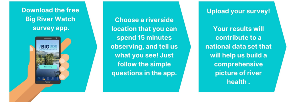 Image of the sequential steps in taking part in the Big River Watch as described.